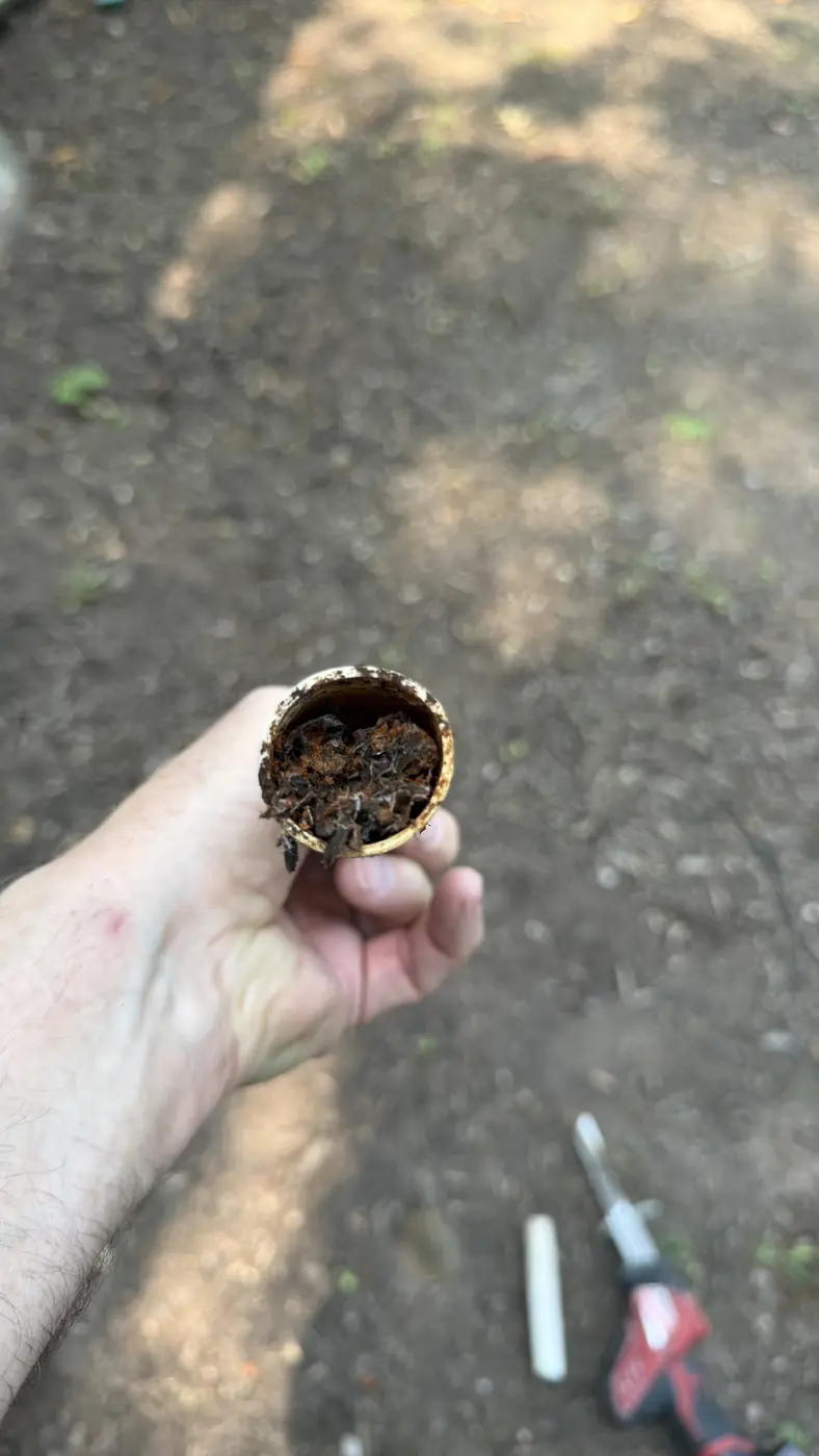 Material removed from a restricted pipe during drain service